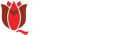 qm_01