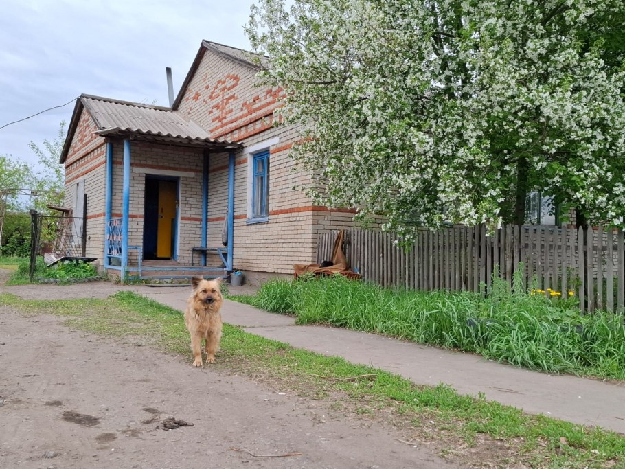 В Костанае отменили необоснованный отказ в предоставлении дачного участка