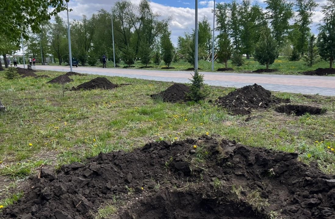 В костанайском триатлон-парке высаживают сотни деревьев, но полив до сих пор не налажен
