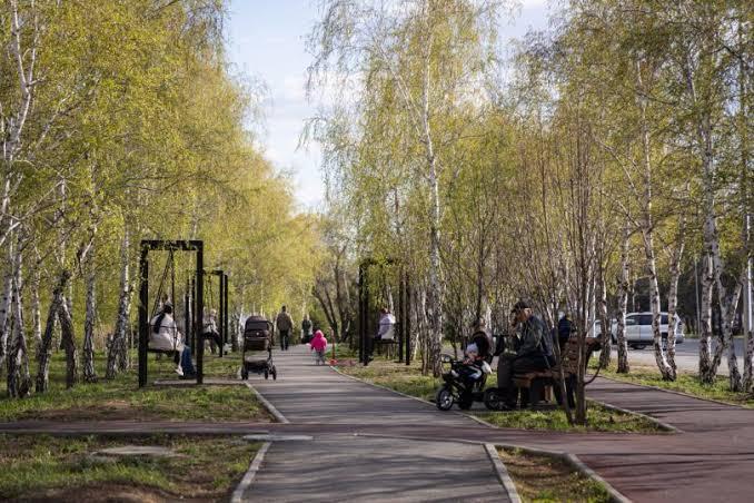 Почти 142 млн тенге направили на благоустройство лесопарковой зоны в Костанайском районе