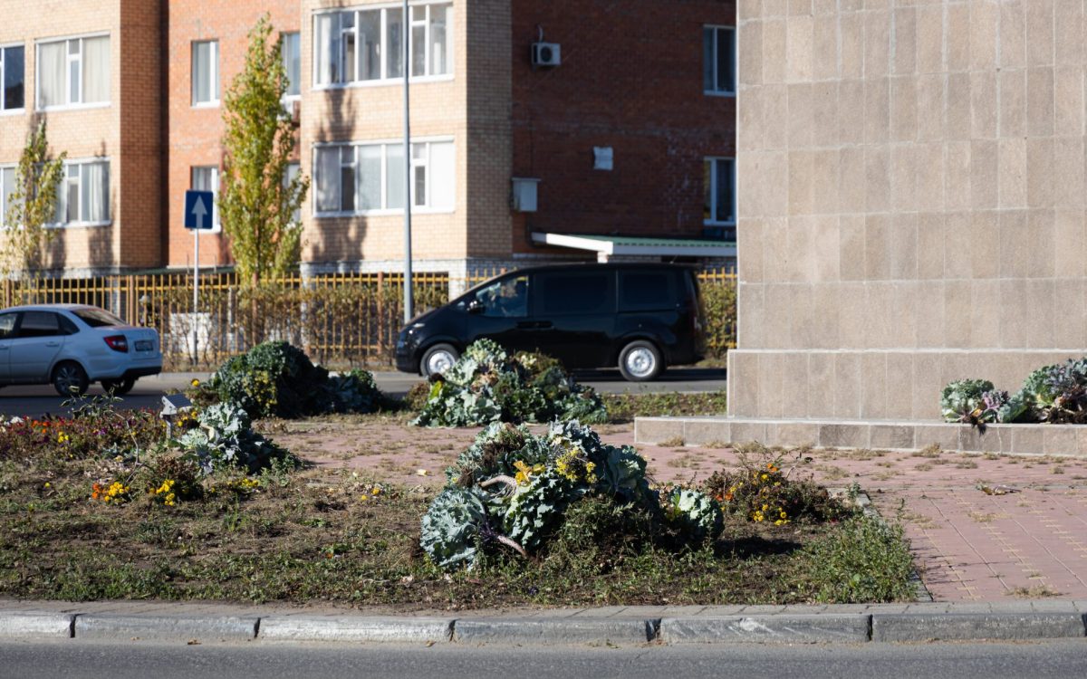 В Костанае завершается сезон цветочного оформления