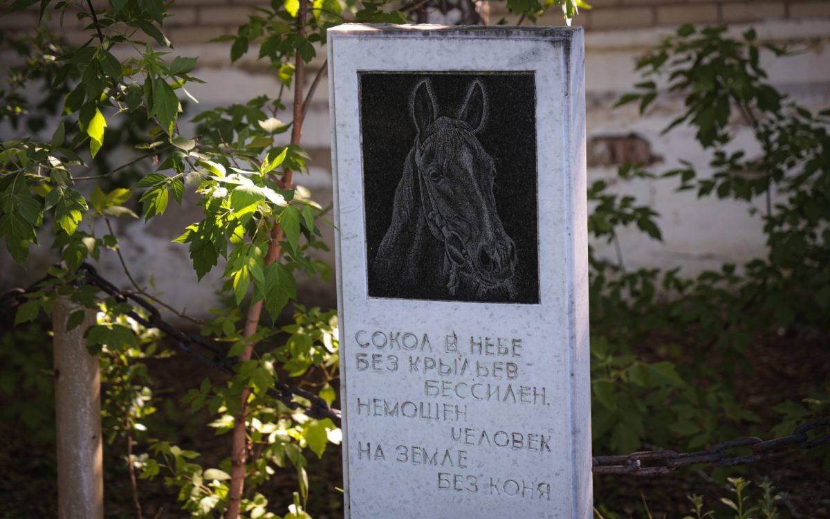 Где покоятся лучшие представители Кустанайской породы лошадей?