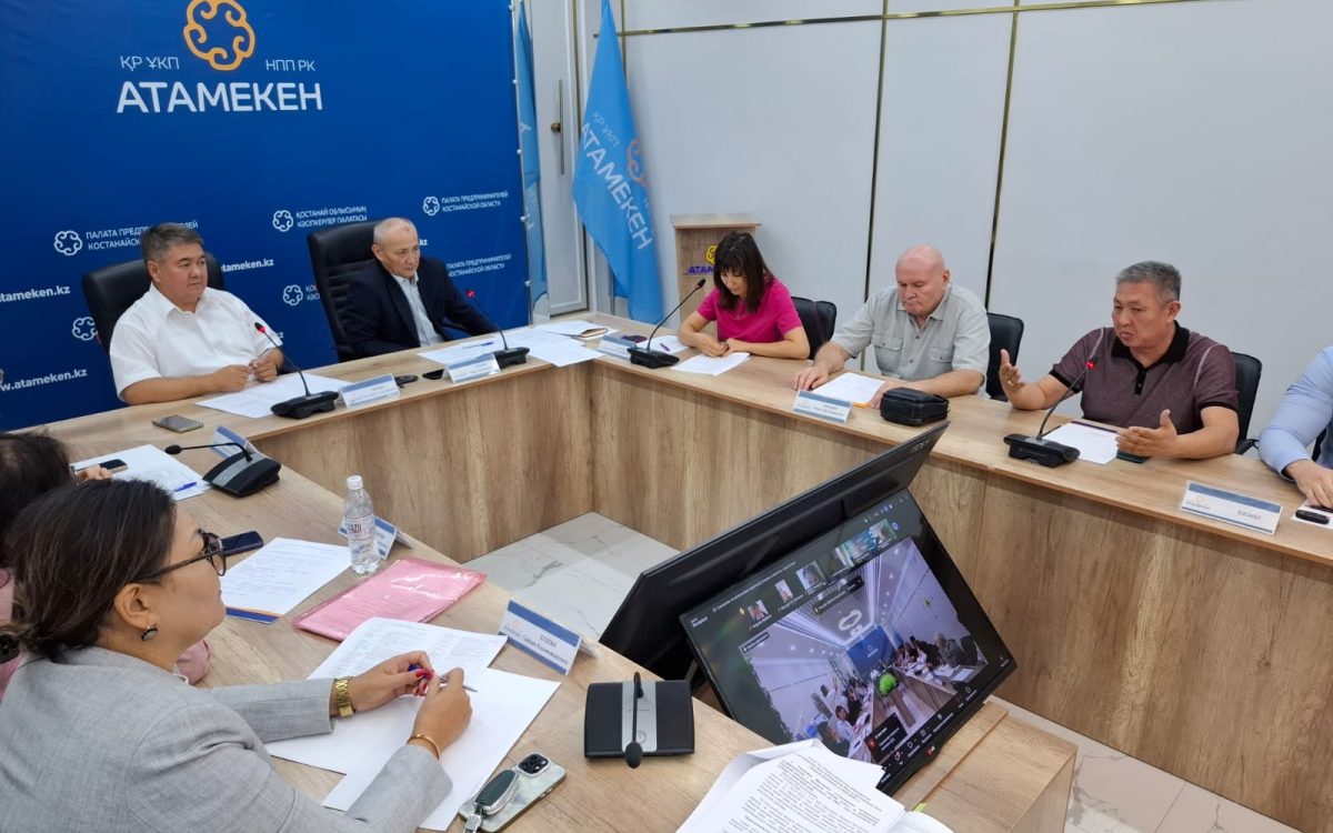 Костанайские депутаты потребовали доказать эффект повышения платы за наружную рекламу