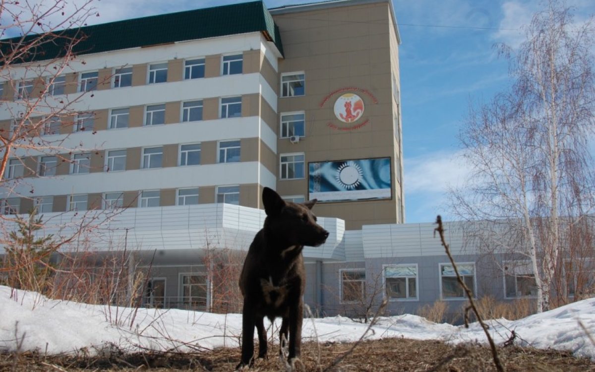 На капитальный ремонт областной детской больницы в Костанае выделили финансирование в полном объёме