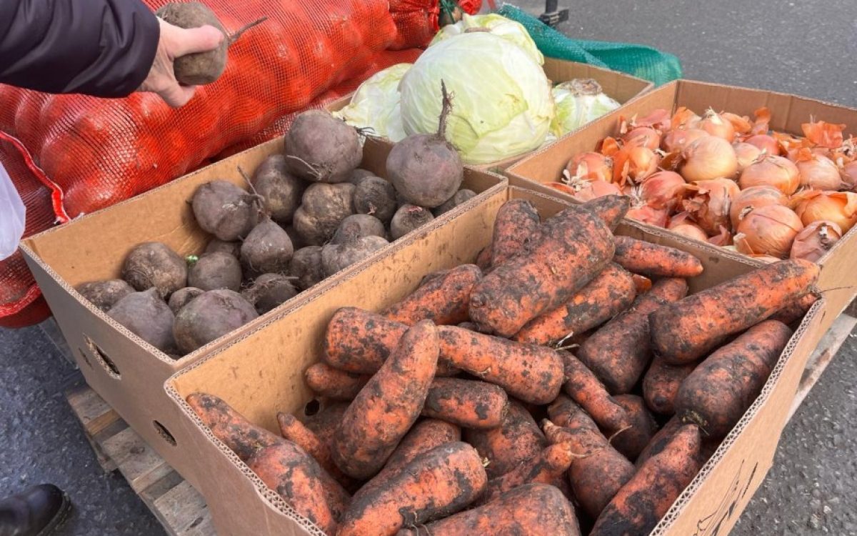 Уровень самообеспеченности Костанайской области продовольственными товарами достиг 80%