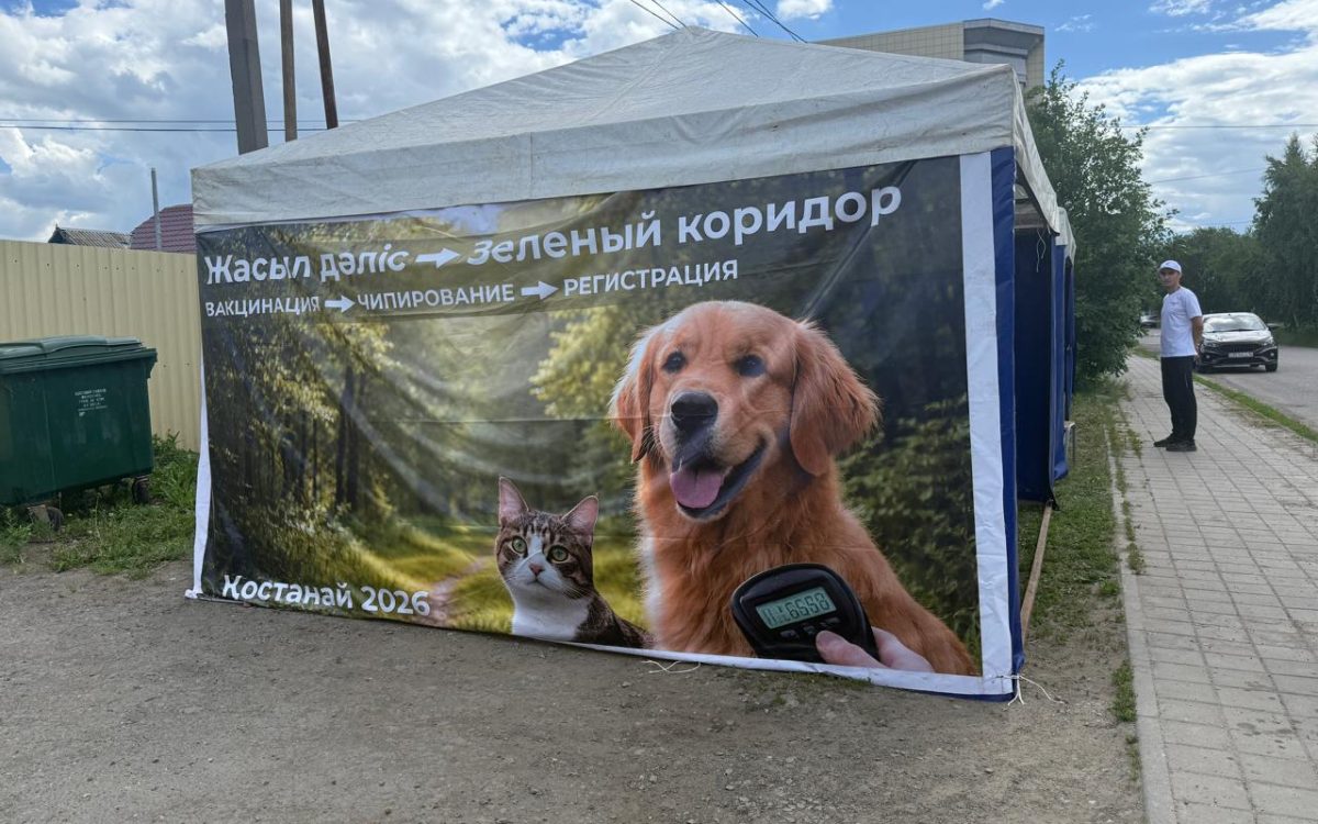 Костанайцев приглашают на чипирование и вакцинацию домашних животных