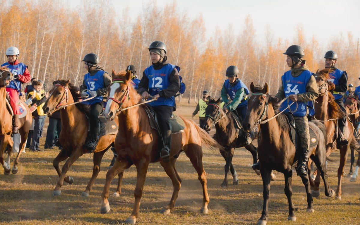 Казахстанские всадники заняли весь пьедестал на международном турнире Allur Endurance CUP 2026