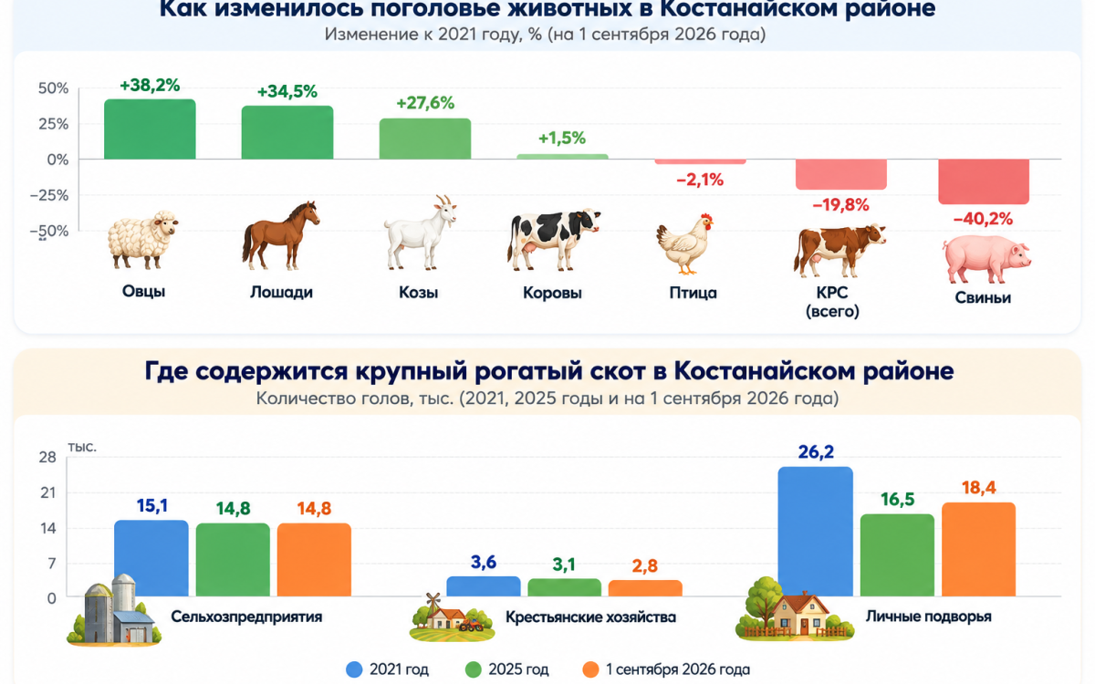 Как меняется животноводство Костанайского района