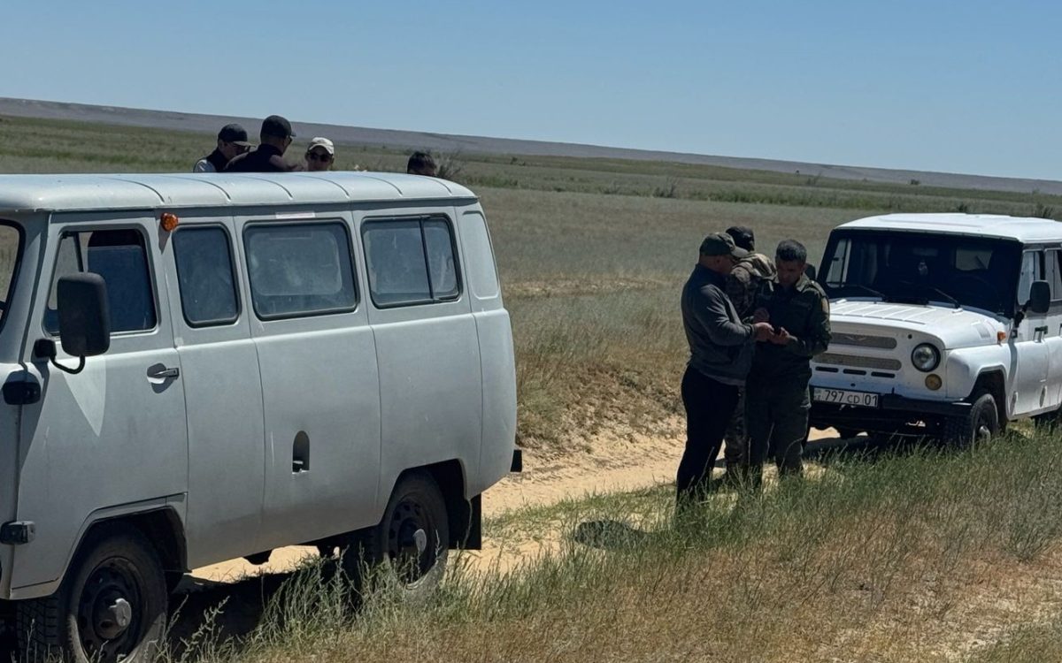 В Костанайской области против саранчи подняли агродроны и авиацию