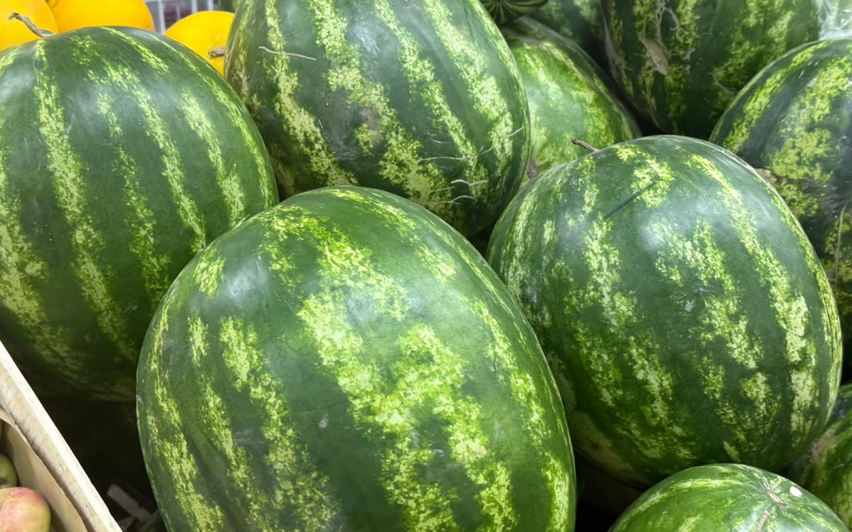 Южными арбузами и дынями заполняются прилавки Костаная