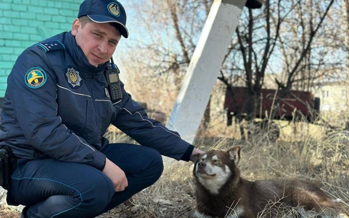 Қостанайда тұрғындар тыныштығы үшін жиырмаға жуық полиция пункті қызмет етеді
