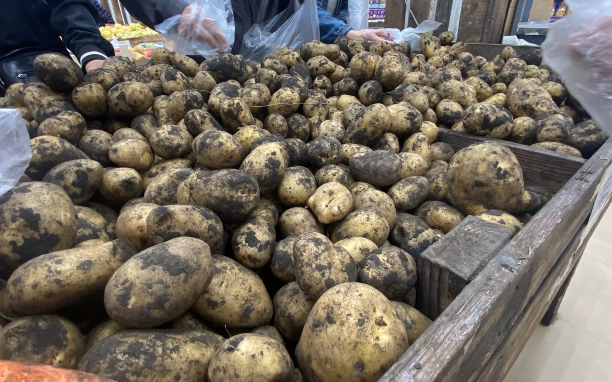 Где дешевле? «НК» проверил цены на картофель в Костанае