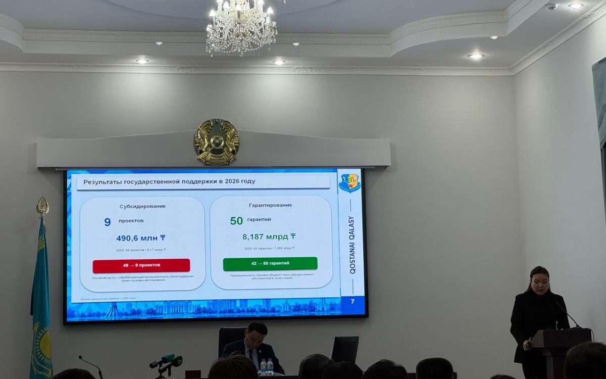 На какую поддержку может рассчитывать бизнес Костаная