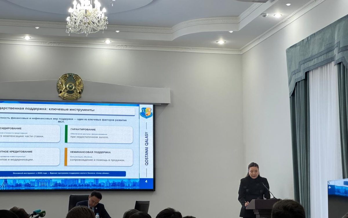 До 5 млн тенге: предприниматели Костаная получат гранты на развитие бизнеса