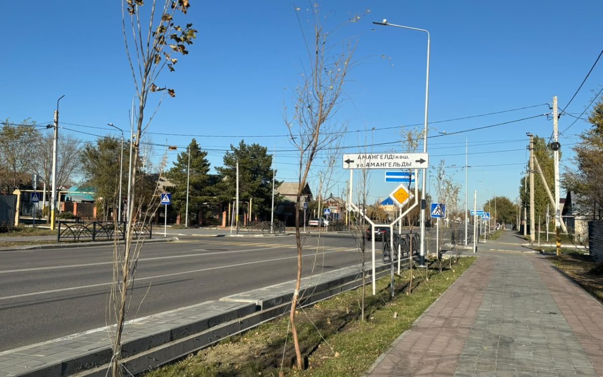 На улице Сьянова в Костанае высадили 110 деревьев